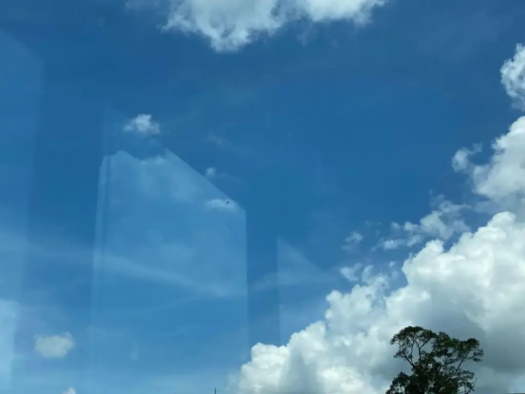 Sauberes streifenfreies Fenster mit klarem Blick nach draußen nach der Reinigung mit Essig