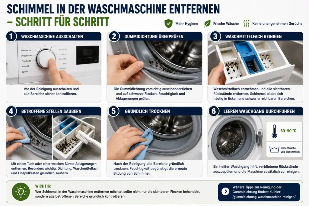 Schimmel in der Waschmaschine entfernen: Reinigung von Gummidichtung und Waschmittelfach mit Bürste und Tuch Schritt für Schritt erklärt