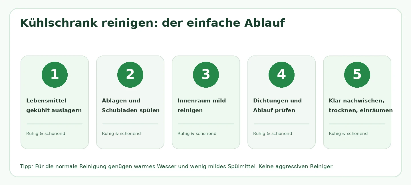 Infografik Kühlschrank reinigen in fünf Schritten mit mildem Spülmittel und ohne aggressive Reiniger